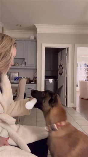 Maligator Mom on Instagram: "“Shaped -vs- Forced” Here I demonstrate the difference between these two training approaches. Whichever you choose, I don’t recommend going back and forth between the two methods. Pick one and see it through."