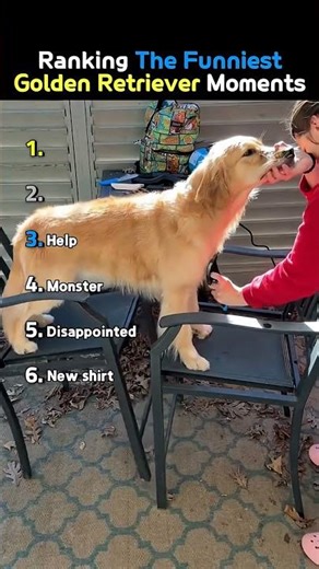 China's bike pedals to electricity: piezoelectric generators in pedals for urban power. #shorts