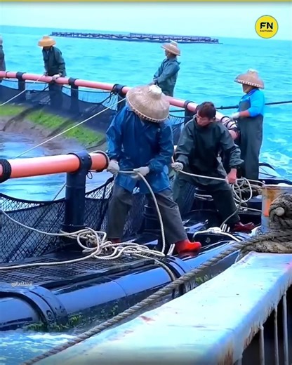 Floating Fish Farming🤯 #shorts