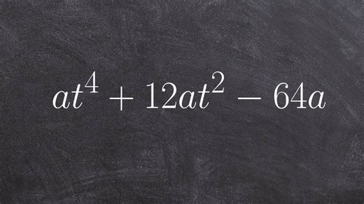 Factoring a polynomial raised to the 4th power