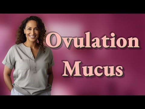 What Does Egg White Cervical Mucus Look Like During Ovulation?