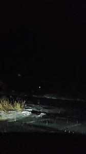 5.7K views · 49 reactions | Snow. wet snow and blowing snow made for a slippery drive from Bracebridge to Gravenhurst Visibility is not good in some areas No four way flashers please Reduce your speed and give yourself extra time | Muskoka411 | Facebook