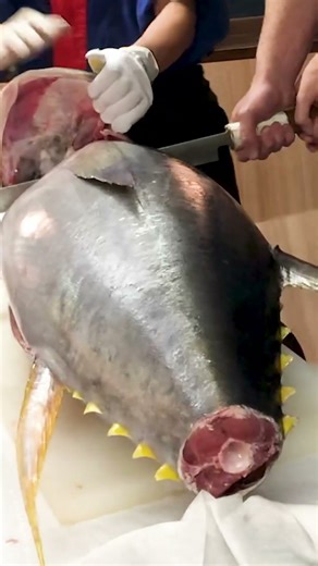 大阪で人気マグロ解体ショー｜鮪達人 #大阪 #マグロ解体ショー #動画 #shorts