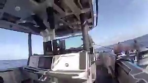 Watch Border Patrol bust boat carrying 12 illegal migrants, including 3 kids