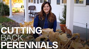 244K views · 3.7K reactions | Here’s what I do with my perennials in the fall! ✂️ | Garden Answer | Facebook