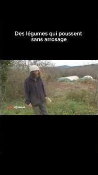 Des légumes qui poussent sans arrosage