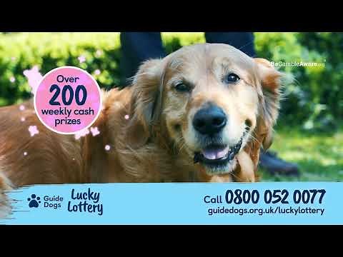 Do What You Love! | Guide Dogs Lucky Lottery | 2022 Advert
