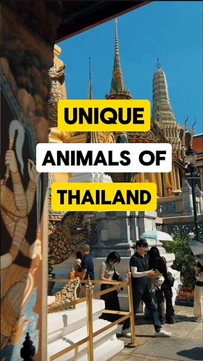 Unique animals only in Thailand #thailand #animalfacts