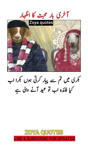 " 4 Most Powerful Quotes that will inspire you & Change your Life#zoyaQuotes#thoughtlife