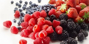 Filière des petits fruits rouges au Nord du Maroc - AgriMaroc.ma