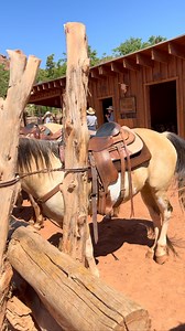 9.3K reactions · 334 shares | The horses are ready for their ride  ️ https://www.moabadventurecenter.com/moab-horseback-riding | Moab Adventure Center | Facebook