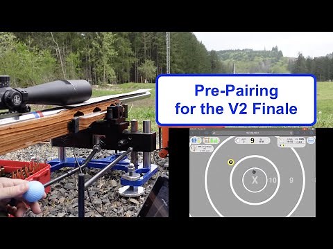 Practicing how to pair fire target shooting