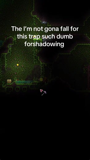 THIS WASNT FUNNY I WAS SO SCARED #Twitch #terraria #dumb #troll #BADLUCK