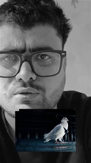 Bio-robots and cyborg’s uses …what are the importance and challenges