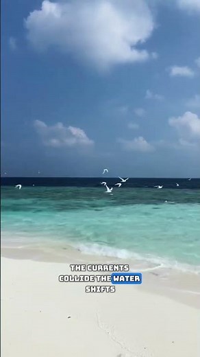 The US Spot Where Two Oceans Almost Meet 🌊😳