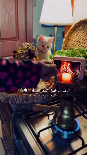 صباح النسمات الباردة والاجواء المليئة بالخيرات 🌧🌧❄