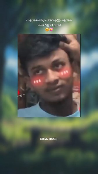 Funny Meme Collection for WhatsApp Status