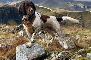 YourWorld: how to submit your stories straight to our newsrooms