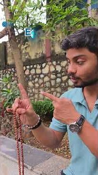 Why Use a Japa Mala? | Spiritual Significance, Technique & Meaning of 108 Beads