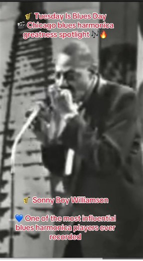 🔥 Legacy• Blues innovator and master harmonica stylist• Influenced rock, blues, and British Invasion artists• Known for his unforgettable voice and stage presence• A cornerstone of electric blues history #music #bluesmusic #sonnyboywilliamson #chicagoblues #harmonica