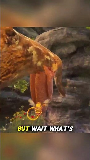 Exploring in Bee Simulator The Hive Game