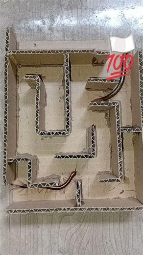 Centipede maze race #centipede #insectrace #mazerace #labyrinthchallenge