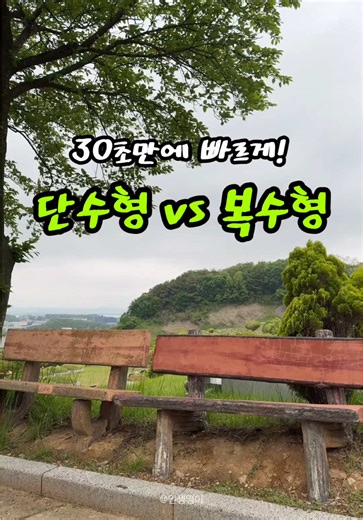 단수형과 복수형 영어 표현 완벽 정리
