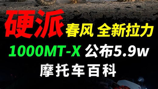 春风发布全新硬派拉力1000MT-X，性能配置快速解读#摩托车#机车#春风动力#1000MTX