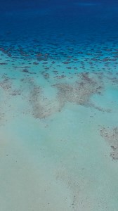 Paul Gauguin Cruises takes you to Tahiti, Bora Bora, Fiji, and beyond. Sail into the heart of the South Pacific and discover turquoise lagoons, pristine beaches and a fascinating culture. Embark on an exceptional voyage in an intimate and luxurious setting. | Paul Gauguin Cruises