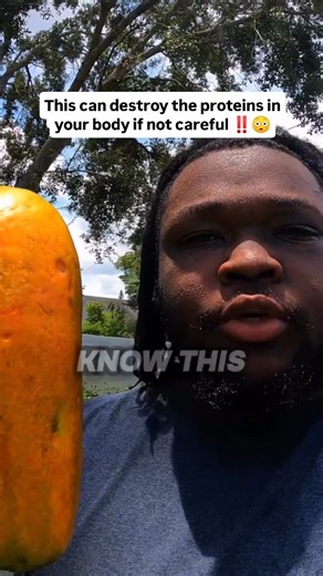 Healthy Living Co on Instagram: "Papain is a natural enzyme from papaya that breaks down proteins, helping digestion and disrupting protein-based structures. Because many parasites rely on protective protein coatings, papain is traditionally used to help weaken them and support the body’s natural cleansing processes. #naturalremedies #holistichealth Credit @shawngrows The book is called the lost art of herbal healing with 301 recipes by Max Wen. Beware of fakes"