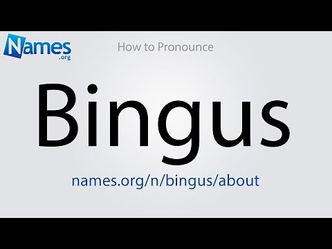 How to Pronounce Bingus
