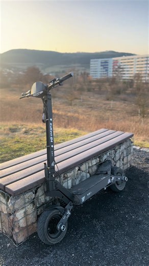 Powerful German Shepherds on the Streets