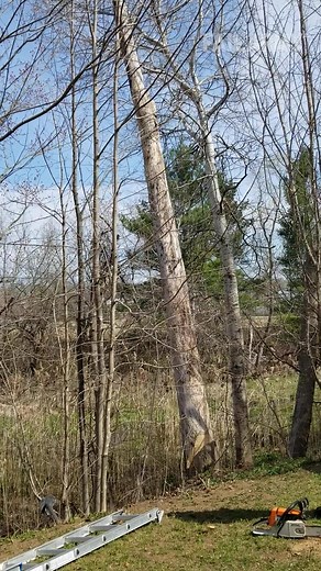 Funniest Canadian fails! 🤣🇨🇦 | FailArmy