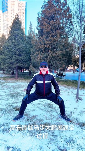 马步 · 大鹏展翅｜完整过程示范 | Horse Stance × Great Roc | Full Movement Flow #guanshifu #qigong #kungfu