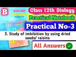 Class 12th Biology Practical Notebook|| B) 3.Study of imbibition by using dried seeds/ raisins All A