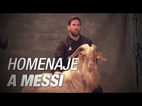 Leo Messi's goats have appeared in Paris!