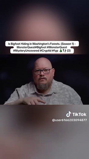 Is Bigfoot Hiding in Washington’s Forests. (Season 1) - MonsterQuest#Bigfoot #MonsterQuest #MysteryUncovered #Cryptid #fyp 🌲👣 (3)