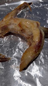 How to Make Delicious Hamachi Kama at Home