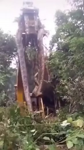 27K views · 183 reactions | ANACONDA GIGANTE EN EL AMAZONAS   En...