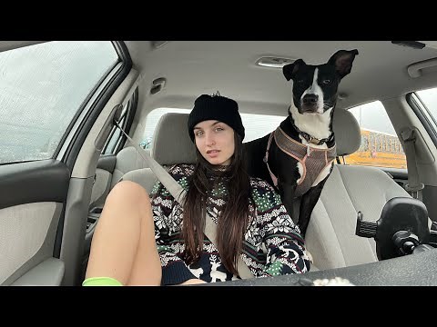 Chill ASMR in the Car w/ Background Rain ( Fast and Aggressive Tapping, Scratching, Soft Spoken )