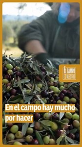 En el campo hay que hacer de todo, desde dar biberones, hasta llevar tractores. #ElCampoATV | El campo es nuestro Aragón TV