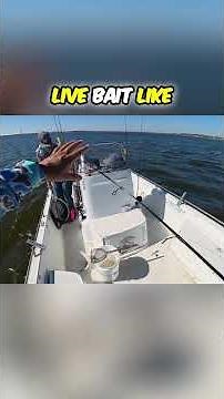 J Hook and Kahle Fishing Hook for Beginners #fishing #fishingshorts #fishingtips #saltwaterfishing