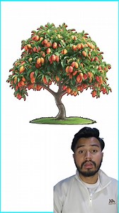 Mango tree game | Routine of Social Media