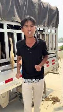 Immerse in the Richness of Rural Life: A Visual Journey