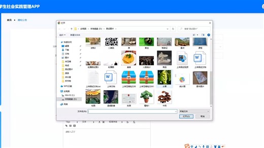 微信小程序springboot高校学生社会实践管理APP