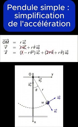 Simple pendulum and acceleration in polar base #science #physicschemistry #education #physics