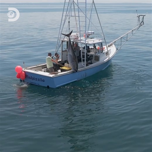 437K views · 9.3K reactions | When you have the experience, you don't need a plane to catch a 102-inch tuna!✈️❌ #HarpoonHunters | Discovery Channel UK | Facebook