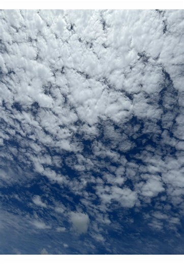 Descubre la magia de Uruguay: Viaje inolvidable