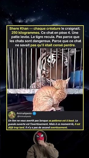 SHERE KHAN A RECULÉ