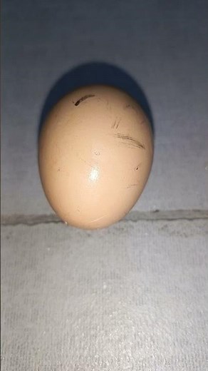Cracked an Egg on My Head!funny #fail #experiment #shorts​​ What's wrong with the egg?